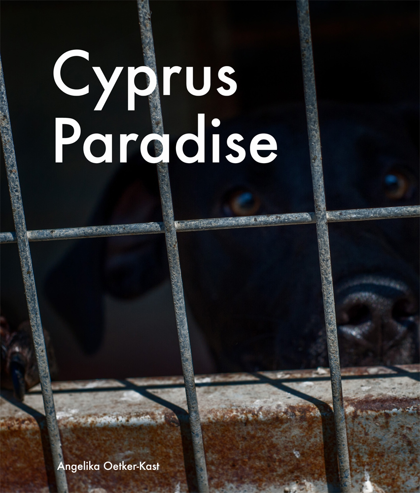 Cyprus Paradise