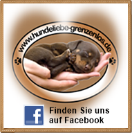 logo-fanpage-original